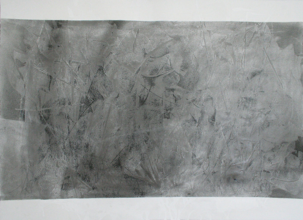 peau-III-XIV-encre-pastel-fusain-graphite-papier-BFK-rives-56x76cm-2014.jpg